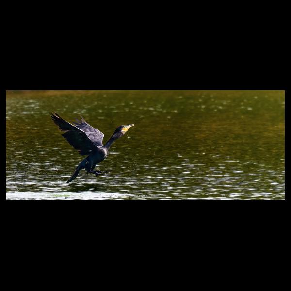 PHOTO84, CLUB, 84 , LUBERON